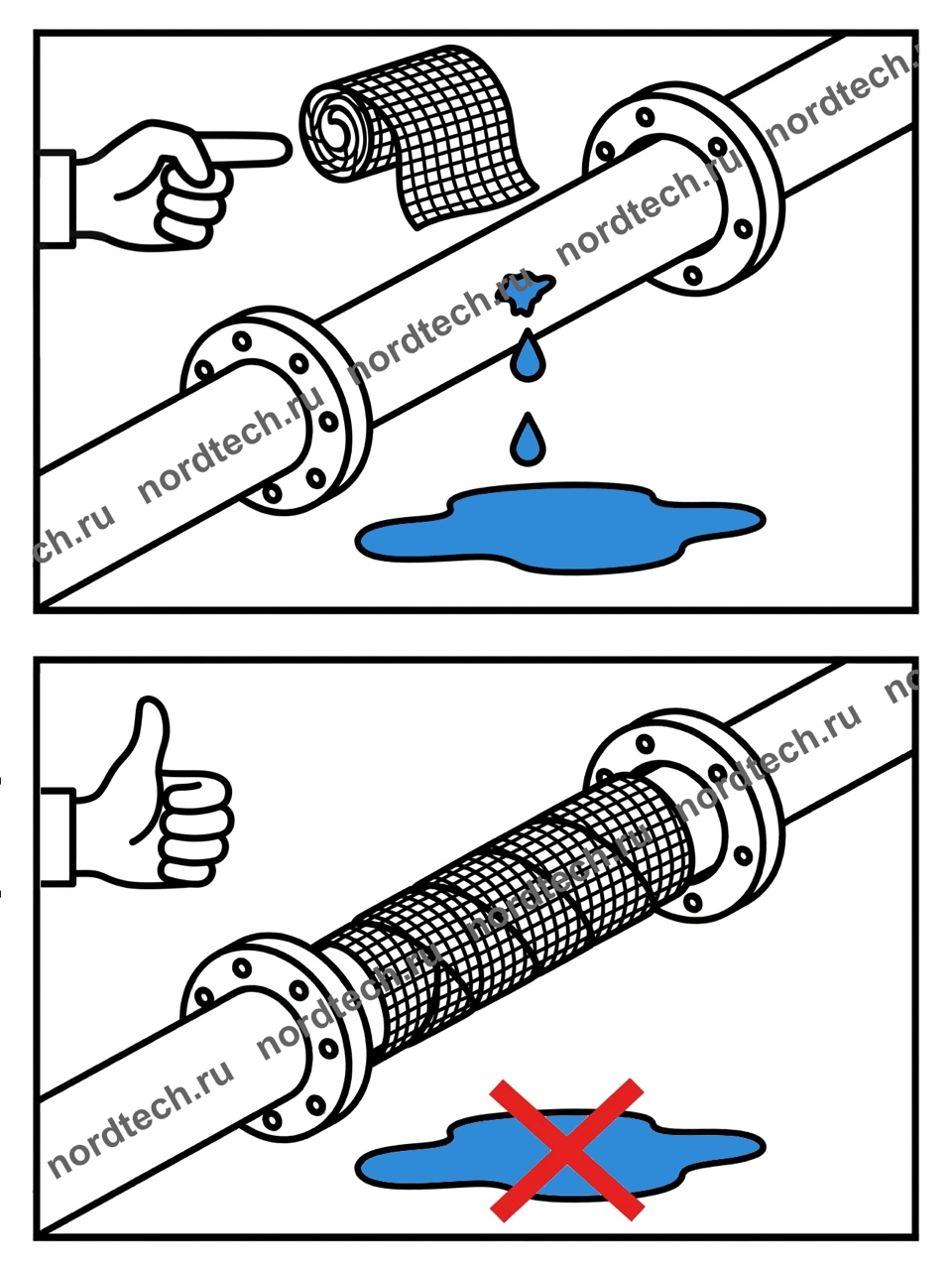 ����� ���������